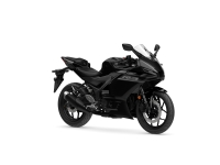 R3