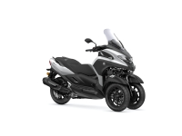 Tricity 300