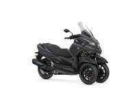 Tricity 300