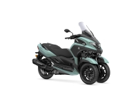 Tricity 300